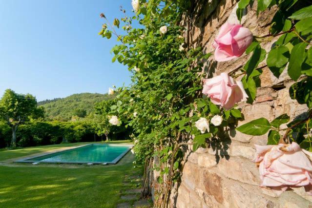 Villa Organi Vaiano  外观 照片